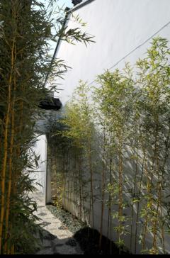 一年四次的鸢茶话会，秋季游园会定档。
在观前地铁站口，平江路