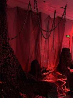 女巫的聚会官宣了
诅咒之夜，
一起寻找公爵夫人之死的真相
找