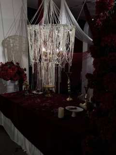 女巫的聚会官宣了
诅咒之夜，
一起寻找公爵夫人之死的真相
找